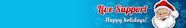 Online live chat window header #5 for winter - English